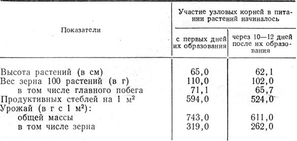 Таблица 5. Продуктивность ячменя в зависимости от времени начала участия узловых корней в питании растений на Эрастовской опытной станции (в среднем за 1960-1963 гг.)