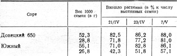 Таблица 36. Динамика появления всходов ячменя в зависимости от крупности семян, высеянных 15 апреля 1962 г.