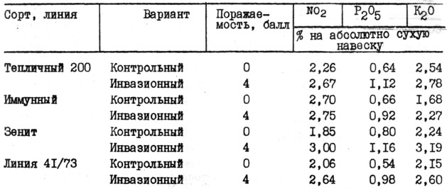 Таблица 1. Содержание азота, фосфора и калия в корнях тепличного томата при мелойдогинозе (1978-1979 гг.)
