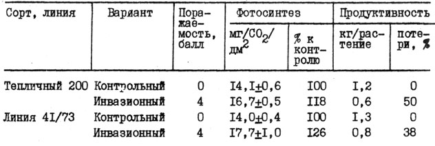 Таблица 3. Интенсивность фотосинтеза и продуктивность растений томата при мелойдогинозе, 1977-1979 гг.