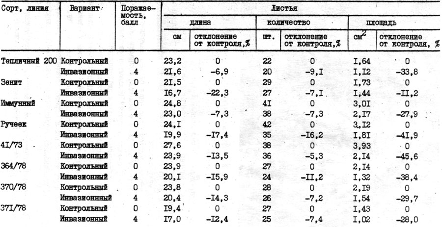 Таблица 5. Ассимиляционный аппарат растений томата при мелойдогинозе (зимне-весенний оборот 1977-1979 гг.)