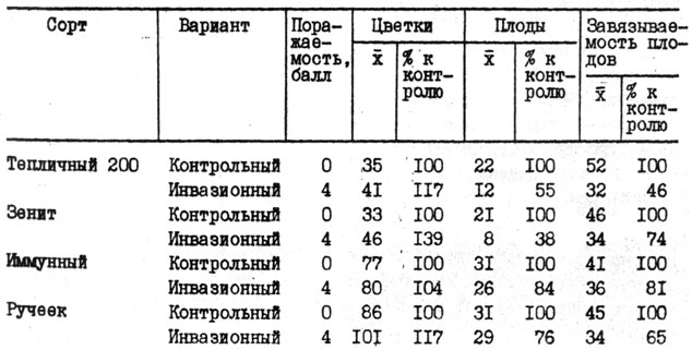 Таблица 6. Завязываемость плодов томата при мелойдогинозе (1977 - 1979 гг.)
