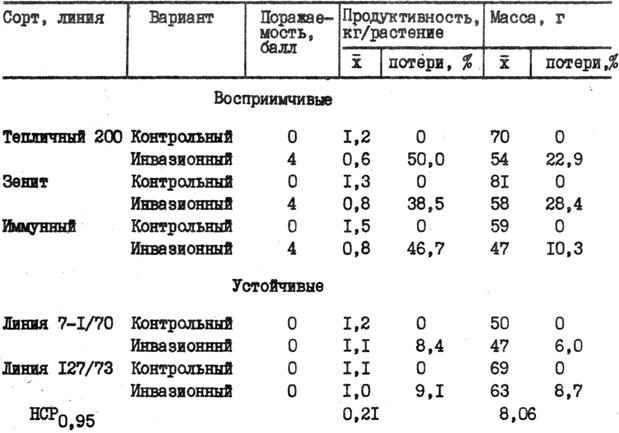 Таблица 8. Влияние мелойдогиноза на урожайность тепличного томата (зимне-весенний оборот 1978 - 1980 гг.)