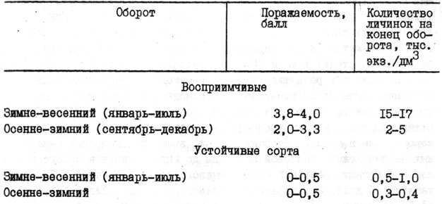 Таблица 12. Заселенность тепличного грунта галловой нематодой в зависимости от устойчивости растений (1974 - 1977 гг.)