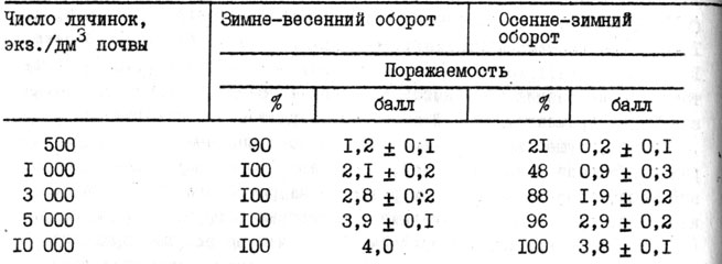 Таблица 14. Поражаемость сеянцев томата галловой нематодой в зависимости от инвазионной нагрузки и условий выращивания (1974 - 1976 гг.)