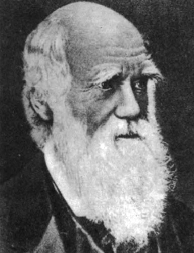 Чарлз Роберт Дарвин - создатель дарвинизма, английский естествоиспытатель