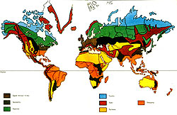 Карта размещения почв на земном шаре