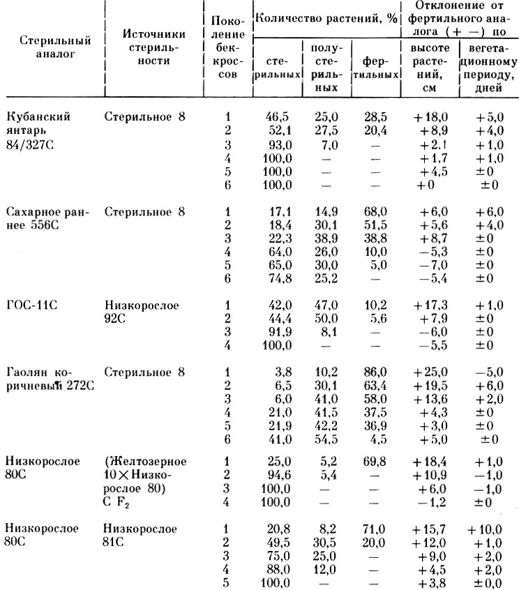 Таблица 41. Наследование ЦМС у стерильных аналогов сорго в зависимости от поколений беккроссов источника стерильности