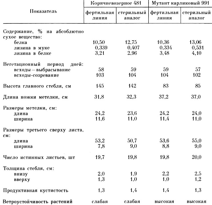 Таблица 56. Биохимические и морфологические параметры высоколизиновых линий сорго в условиях Кубани (среднее 1973-1975 гг.)