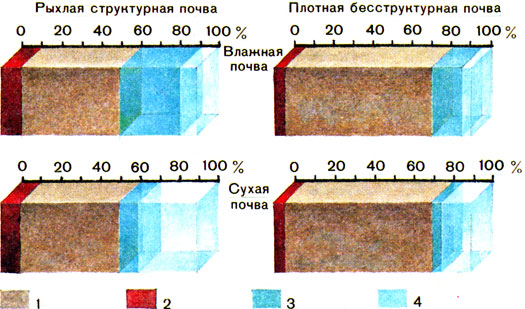Фазовый состав почвы, в процентах от объема: 1 - живая фаза, 2	- твердая фаза, 3	- жидкая фаза, 4	- газовая фаза