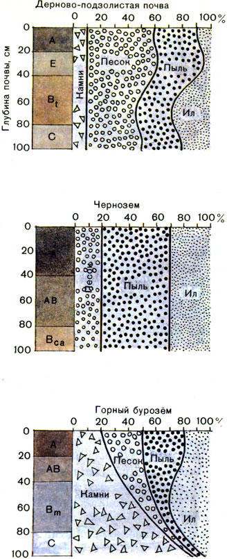 Гранулометрический состав твердой фазы разных типов почв