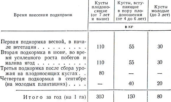 Таблица 5. Норма азотных удобрений (в кг) для подкормки крыжовника (из расчета 90 кг действующего вещества на 1 га)