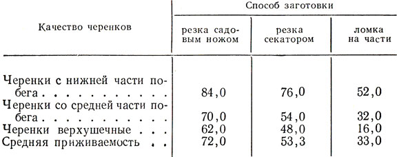 Таблица 11. Приживаемость черенков (в %)