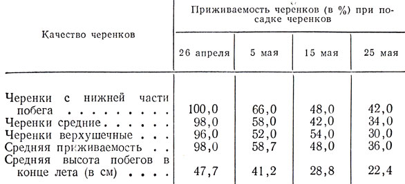 Таблица 12. Влияние сроков посадки и качества черенков на их приживаемость и силу роста