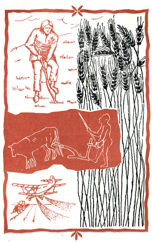 Древний земледелец с деревянной мотыгой для рыхления почвы и заделки семян. Позже, с приручением тягловых животных, он стал применять для этого деревянный плуг. Первым злаком, введенным в культуру более 10 тыс. лет назад, была пшеница, которая и показана на рисунке