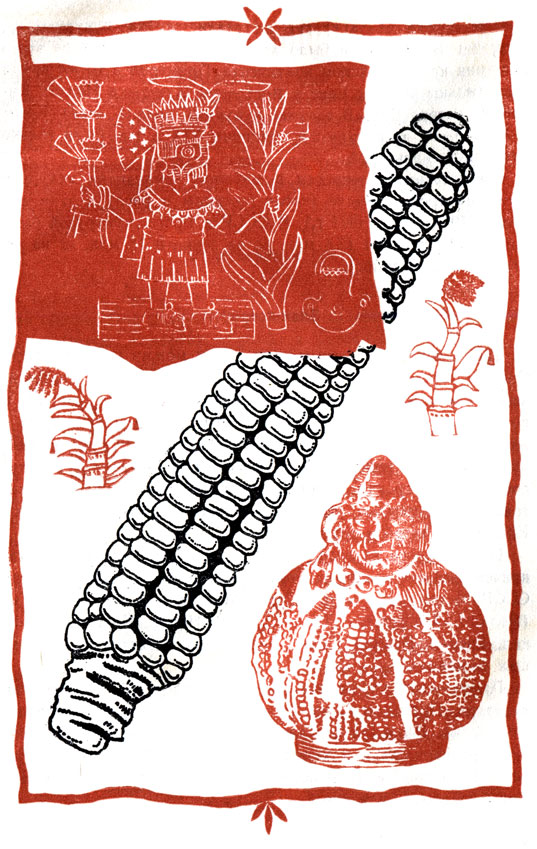 Кукуруза, как и пшеница, - тоже древнейшая культура, но происходит из стран Латинской Америки (Мексика, Боливия, Перу). Там ее возделывали задолго до того, как Америку открыли европейцы. Об этом убедительно говорят археологические находки, изучение быта, языка и мифологии древнеамериканских народов. На рисунке видны большой кукурузный початок, бог дождя, благосклонный к кукурузе (слева вверху) и древнеперуанский кукурузный демон, изображенный в виде глиняного сосуда