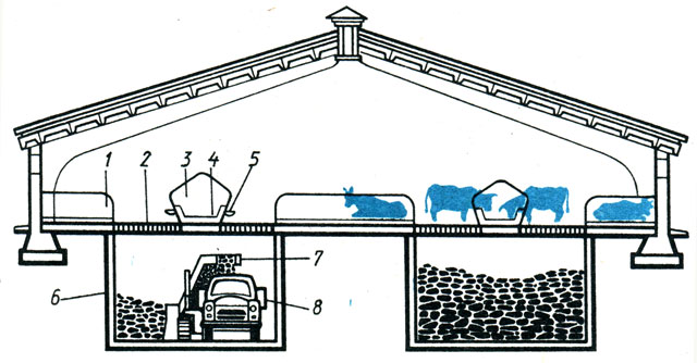 Рис. 33. Устройство коровника с беспривязным содержанием скота и подпольным хранением навоза: 1 - бокс; 2 - решетчатый пол; 3 - групповая кормушка; 4 - кормовой транспортер; 5 - автопоилка; 6 - навозная траншея; 7 - агрегат для погрузки навоза; 8 - автосамосвал