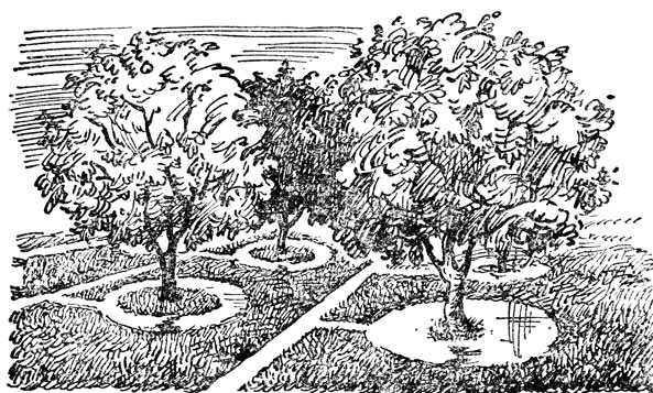 Рис. 35. Орошение плодовых деревьев кольцами (слева) и по чашам (справа)