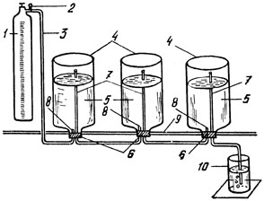 Рас. 2. Схема установки для барботирования семян на закрывающихся и последовательно соединенных стеклянных 20-литровых емкостях: 1 - баллон с кислородом, 2 - редуктор с манометром. 3 - шланг для подачи кислорода, емкость, 5 - вода и семена, 6 - пробки, 7 - отводящая трубка, 8 - подающая трубка, 9 - обойма, 10 - контрольная емкость с водой
