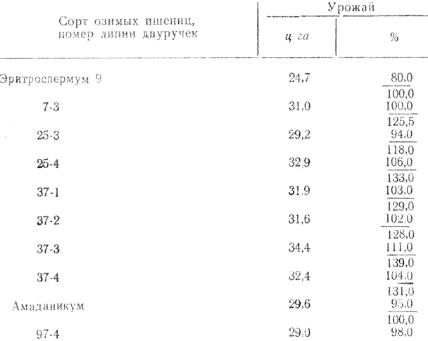 Таблица 1. Урожай озимых пшениц, выделенных из некоторых сортов двуручек (1955 г.)