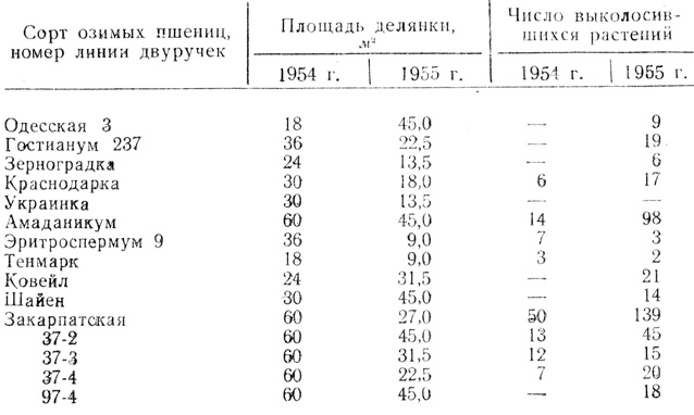 Таблица 2. Выколосившиеся 'выскочки' при весеннем посеве (1954-1955 гг.)