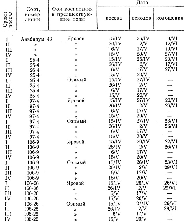 Таблица 7. Развитие пшениц двуручек и яровых, высеянных по срокам весной (1954 г.)