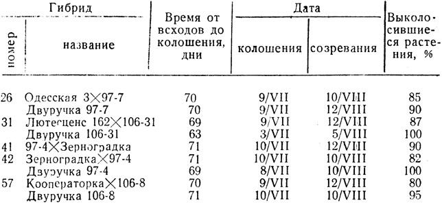 Таблица 9. Гибриды второго поколения (1952 г.)
