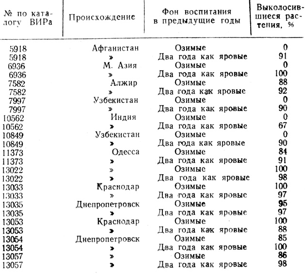 Таблица 20. Развитие озимых ячменей при весеннем посеве (1953 г.)