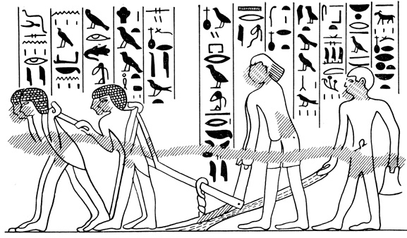 Настенная фреска. Сельскохозяйственные работы в Древнем Египте