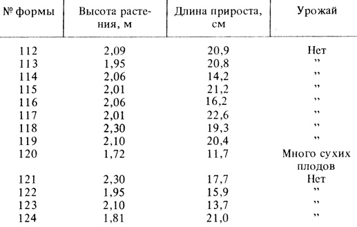 2. Длина однолетнего прироста у различных форм кизила в засушливый период 1986 г