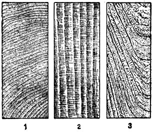 Рис. 2. Разрез древесины берёзы бородавчатой: 1 - поперечный; 2 - радиальный; 3 - тангентальный