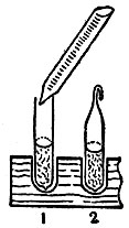 Рис. 3. Бумажные капсулы для семени: 1 - наливание семени; 2 - верхушка капсулы закрыта (сжата)