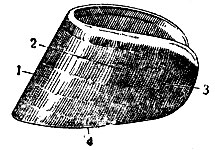 Рис. 3. Роговая стенка копыта (вид сбоку): 1 - зацепная часть; 2 - 3 - боковая часть; 4 - пяточная часть