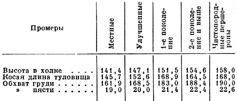 Средние промеры кобыл - помесей першеронов (в см)