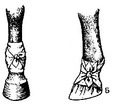 Рис. 3. Косыночная повязка: А - на область путового сустава; Б - копыта