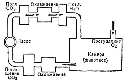 Рис. 1. Схема респирационного аппарата (изобретён М. Н. Шатерниковым)