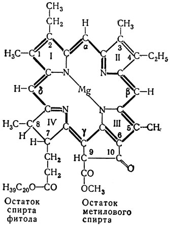 Рис. 2. Структурная формула хлорофилла а. Замкнутая система сопряжённых двойных и простых связей выделена жирными линиями