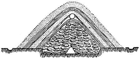 Рис. 4. Разрез бурта с корнеплодами с верхней и нижней вентиляцией